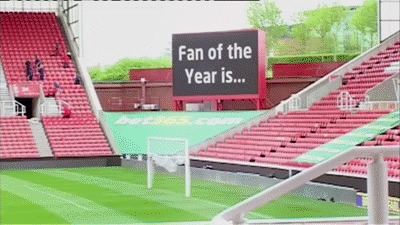 Hairy_Potter_fan_of_the_year_2013_Stoke_City