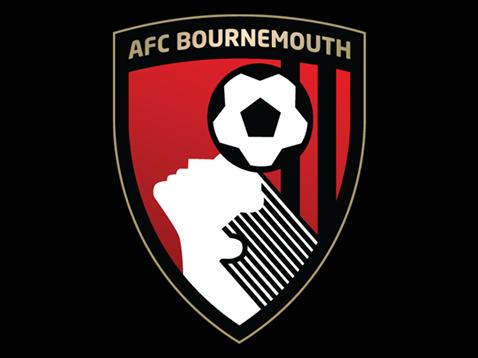 Betting Tips, Prediction and Preview for AFC Bournemouth 2016/17 season